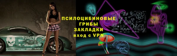 мдпв Нея