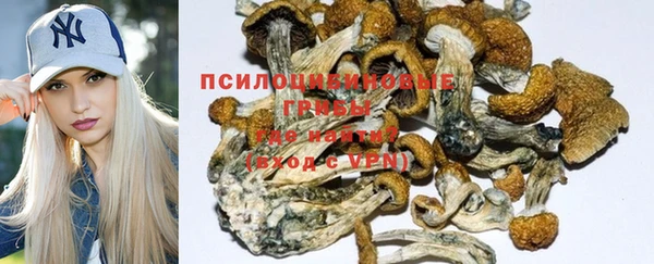мдпв Нея