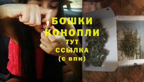 мдпв Нея