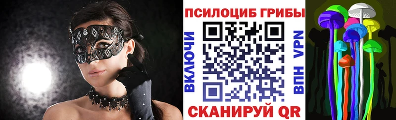 Галлюциногенные грибы Psilocybe  Новая Усмань 