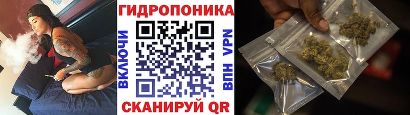 Конопля тримм  гидра ССЫЛКА  Новая Усмань 